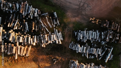 Logs stacked neatly in a lumber yard during golden hour in a rural area of the countryside