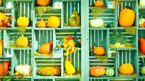 pumpkins in a basket