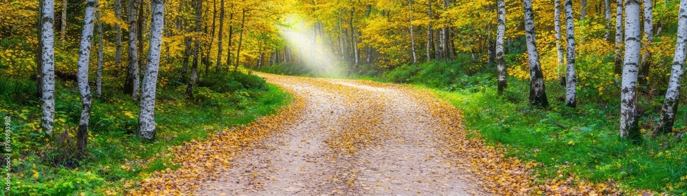 Obraz premium Serene Autumn Pathway Through Golden Foliage and Sunlight in a Tranquil Forest Setting