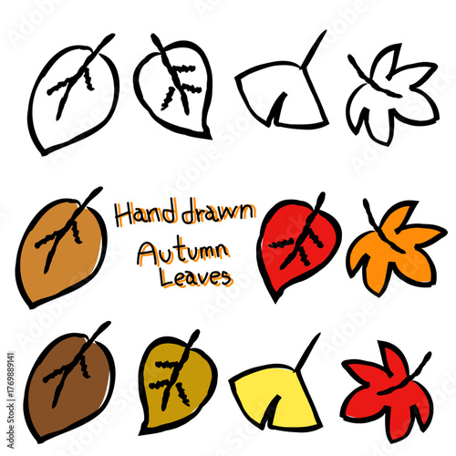 手描きの秋の葉っぱのイラストセット