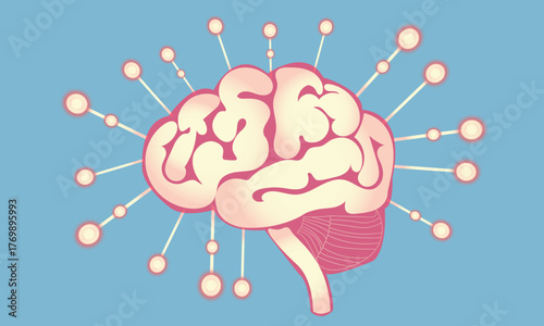  Human brain with connected nodes symbolizing learning and intelligence