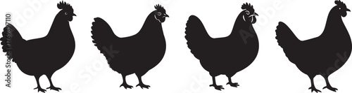 Four distinct black silhouettes of hens standing in side profile, each with unique feather and comb details, depicted in a simple bold style.