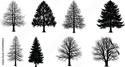 Tree silhouettes, forest shapes, botanical diversity, seasonal trees, coniferous, deciduous, nature elements, landscape design, bare branches, foliage patterns, vector art