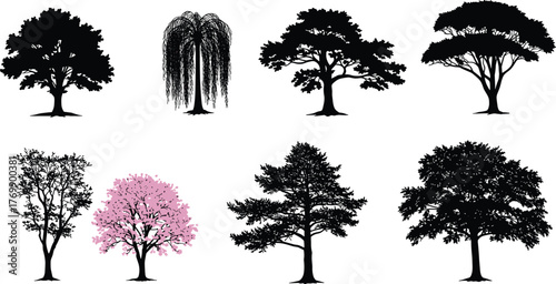 Tree silhouettes, cherry blossom tree, botanical illustration, nature elements, forest icons, foliage shapes, seasonal design, vector trees, landscape graphics, educational asset