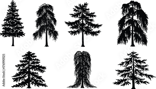 Tree silhouettes, coniferous trees, deciduous trees, forest shapes, nature icons, black vector trees, landscape elements, botanical design, illustration pack