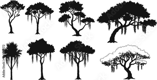 Tree silhouettes, forest shapes, botanical diversity, nature illustration, landscape design, mossy trunks, sparse branches, foliage patterns, outdoor scene, vector art