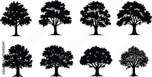 Tree silhouettes, black forest shapes, nature icons, seasonal trees, landscape elements, vector foliage, artistic trunks, botanical design, rural scenery, minimal style