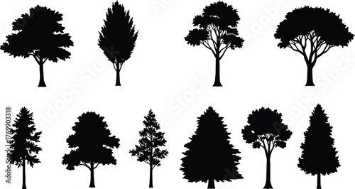 Tree silhouettes, forest shapes, botanical icons, nature elements, landscape design, seasonal trees, foliage patterns, rural scenery, vector trees, outdoor illustration