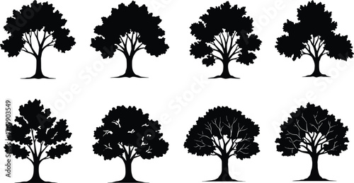 Tree silhouettes, botanical shapes, forest elements, nature design, landscape illustration, black trees, seasonal foliage, vector pack, rural scenery, minimal art