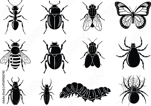 Detailed insect and spider vector silhouettes including beetles, flies, ants, butterflies, and caterpillars, black wildlife illustration for science, nature, and entomology design