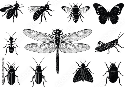Detailed insect vector illustration, black silhouette collection of dragonfly, butterfly, bee, ant, beetle, grasshopper, perfect for nature, wildlife, and entomology design projects