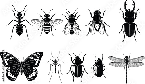 Insect silhouette vector illustration set, detailed black and white collection of ant, bee, beetle, butterfly, dragonfly, and spider for nature, science, and design