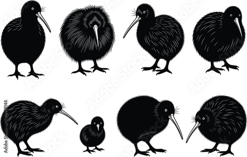 Set of kiwi bird silhouettes isolated on white background, vector illustration of flightless birds for wildlife, nature, animal, ornithology, and eco design projects