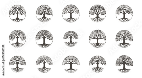 Fifteen Vector Tree of Life Silhouette Isolated Design Elements Collection