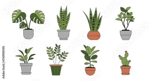 Assorted houseplants in pots graphic design element illustration