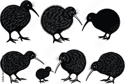 Black kiwi bird silhouettes collection, New Zealand wildlife vector illustration showing flightless bird species family group, nature conservation and exotic animal design