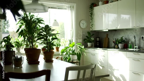 Bright kitchen filled with numerous potted plants on the windowsill and table, bathed in natural sunlight.
