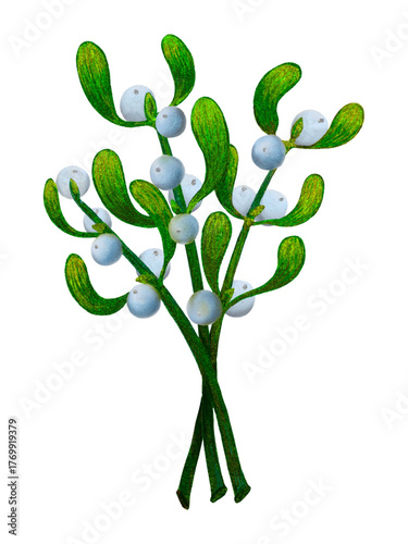Illustration of mistletoe branch with green leaves and white berries isolated on white background holiday botanical plant used for Christmas decoration
