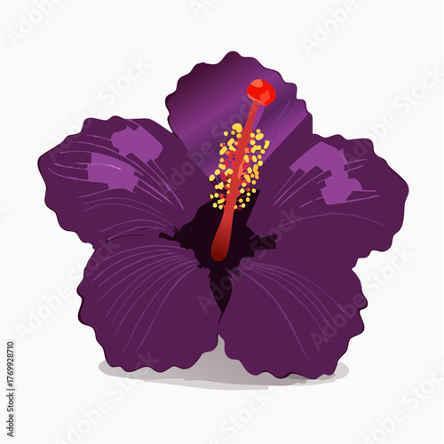 Purple Hibiscus Flowers Arrangement.
4