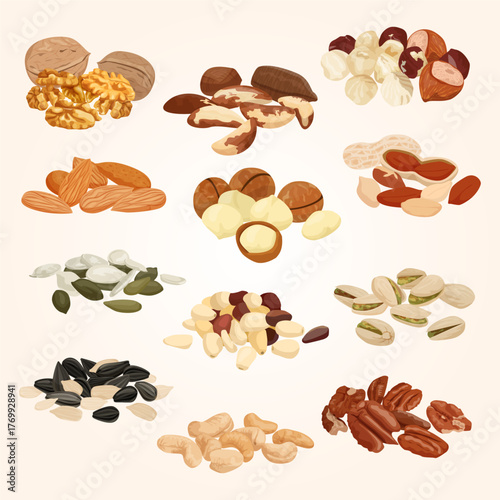 Flat Lay Detailed Pile of Mixed Dried Nuts Collection