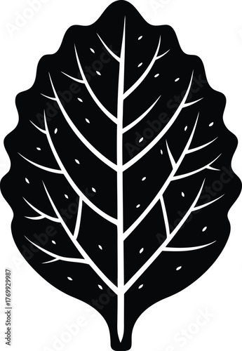 Green kale leaf with subtle texture fresh organic ingredient icon