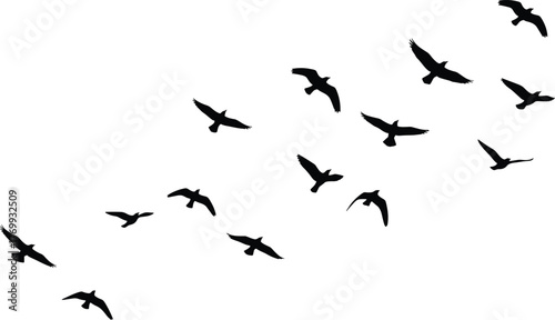 Silhouette birds flying in sky, flock of birds in motion, wildlife migration background, freedom concept, nature illustration, minimalist design art