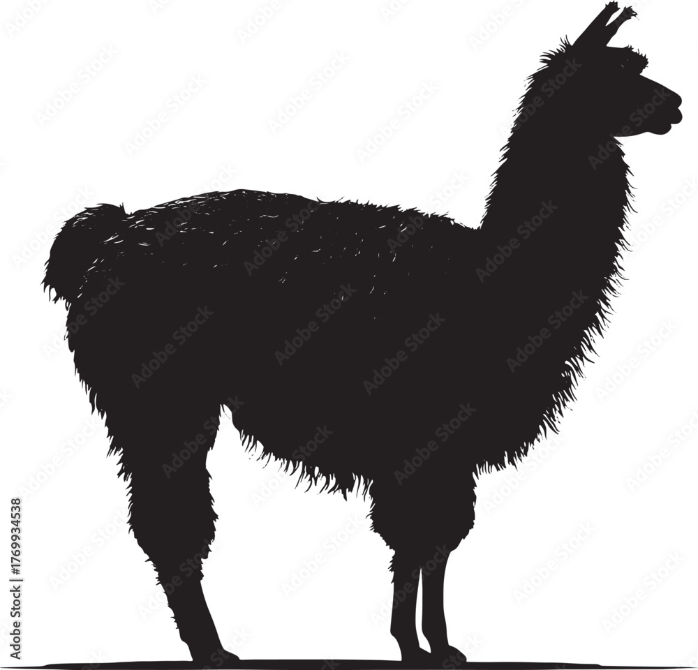 Fototapeta premium Vector Silhouette of a Llama on white background. Symbol of Peru.