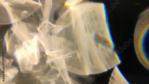 Soft Warm Light Particles Cozy Abstract Glow Transition Loop.