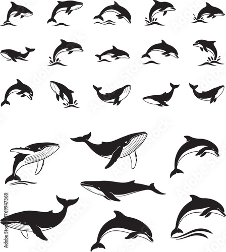 A dynamic collection of black and white vector illustrations featuring various whale and dolphin silhouettes in active poses, ideal for logos and icons