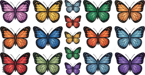 A stunning array of butterflies is showcased in a vibrant spectrum of colors, each with beautifully detailed wings.