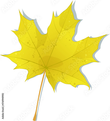 Hand-drawn yellow maple leaf isolated on white background. Flat and line style autumn colored vector illustration. 