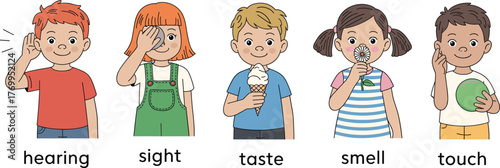 Five senses children, hearing sight taste smell touch, educational concept, preschool learning, sensory activity, child development, kids interaction, science illustration, classroom poster