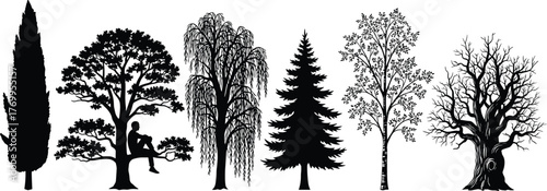 Black tree silhouettes vector illustration set, diverse species including willow, conifer, deciduous, gnarled trunk, decorative botanical elements, natural landscape artwork collection