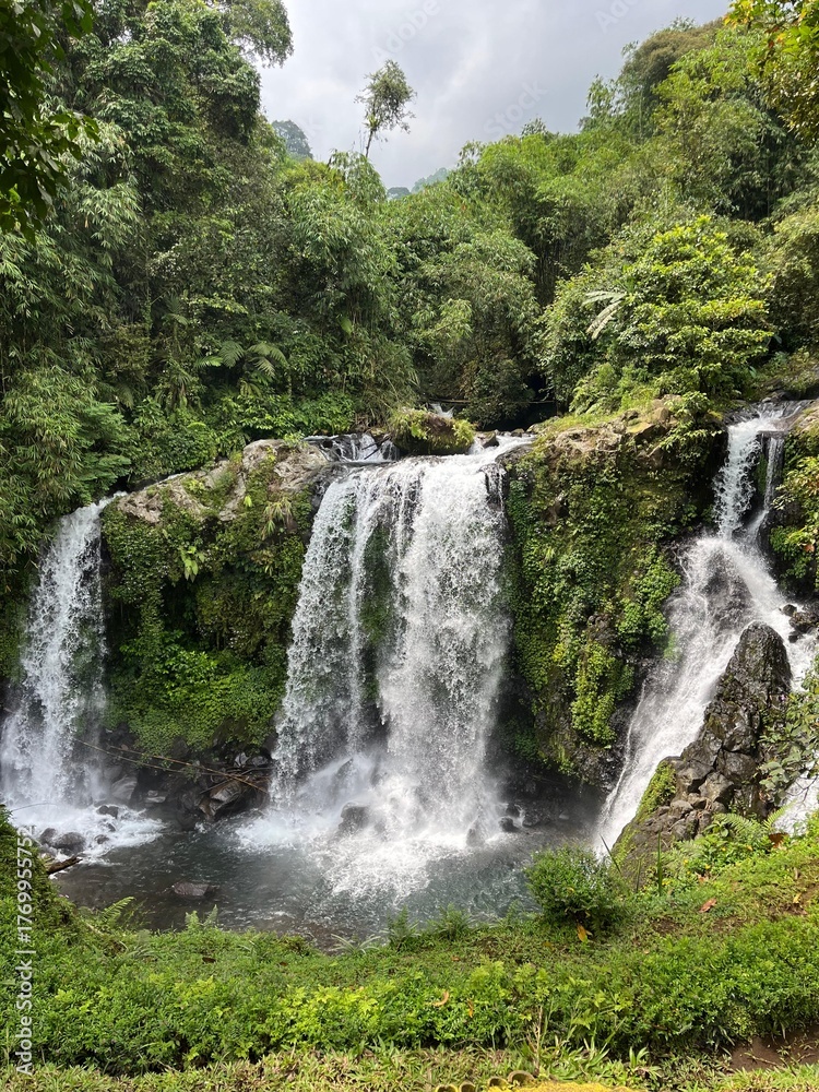 Obraz premium waterfall in the forest