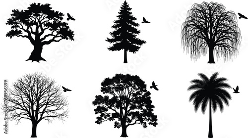 Tree silhouette vector illustration set with flying birds, abstract forest artwork, decorative nature design, diverse species collection, peaceful outdoor inspired graphics