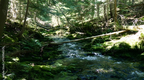 confluence. Two forest streams merging into a single river, blending water currents, mossy rocks, dappled sunlight through trees. ESG reports.