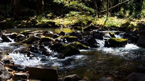 confluence. Two forest streams merging into a single river, blending water currents, mossy rocks, dappled sunlight through trees. ESG reports.