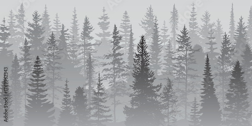 Coniferous forest in the morning haze, black and white landscape, vector illustration