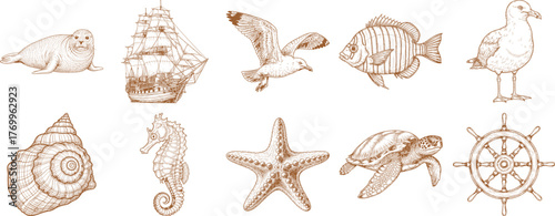 Intricate hand drawn illustrations showcasing various marine creatures and classic nautical themed elements