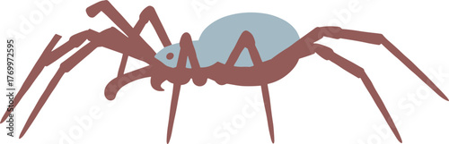 Flat Style Detailed Spider Insect With Long Legs and Round Body Shape Illustration