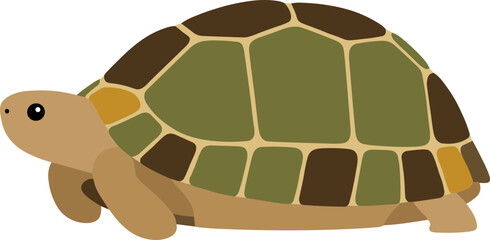 Foto auf Acrylglas Zoo Simple Flat Design Cartoon Land Turtle with Segmented Shell Illustration  © Namu Icons