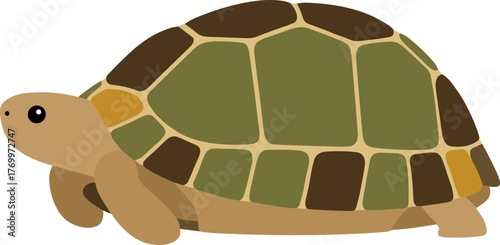 Simple Flat Design Cartoon Land Turtle with Segmented Shell Illustration