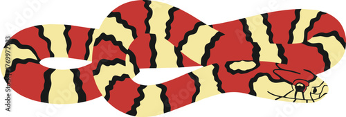 Simple Cartoon Illustration of Milk Snake Wild Animal Species