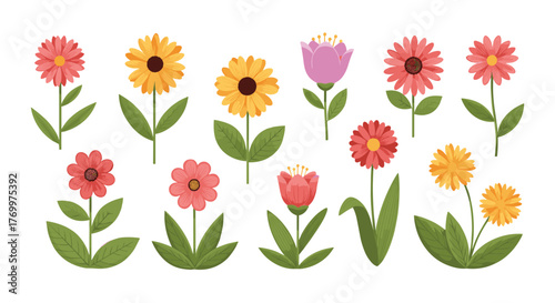 A beautiful assortment of blooming flowers in various colors and styles, perfect for springtime and garden-themed designs.