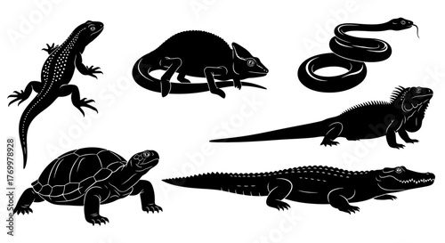 Reptiles Silhouette Collection Lizard, Chameleon, Snake, Turtle & Alligator