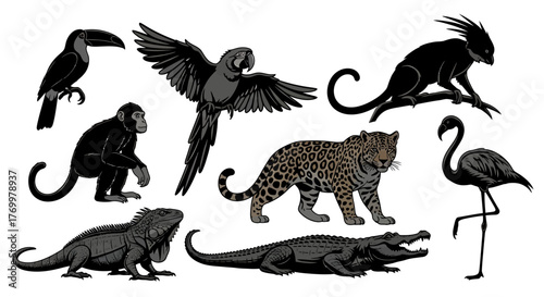 Diverse exotic jungle and tropical animals vector illustration set, showcasing a leopard, parrot, toucan, monkey, and flamingo for wildlife-themed designs