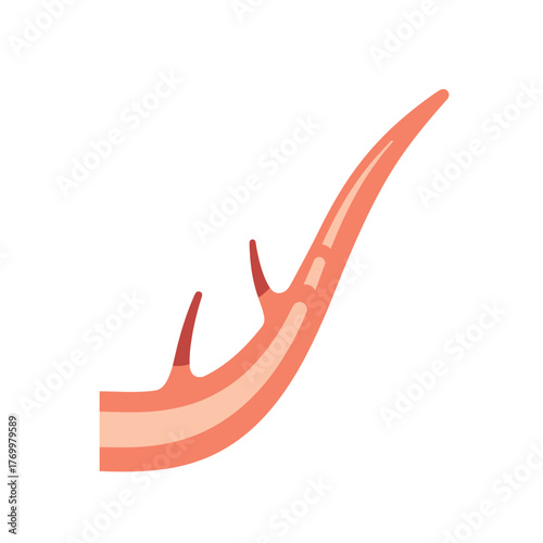 Stylized illustration of a branching biological vessel or nerve structure, rendered in shades of pink and red.