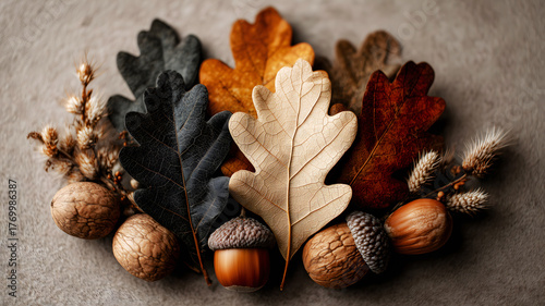 Autumn Natural Elements Collage Colorful Oak Leaves Acorns Walnuts Dried Flowers Multi-purpose Material for Graphic Design, Marketing & Decor