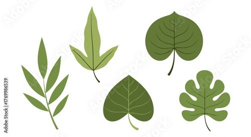 A vibrant collection of stylized green leaves showcasing diverse shapes, suitable for botanical and nature-inspired designs.