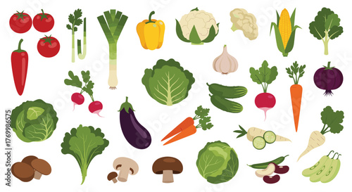 A vibrant collection of fresh, healthy vegetables and mushrooms, perfect for cooking and healthy eating.